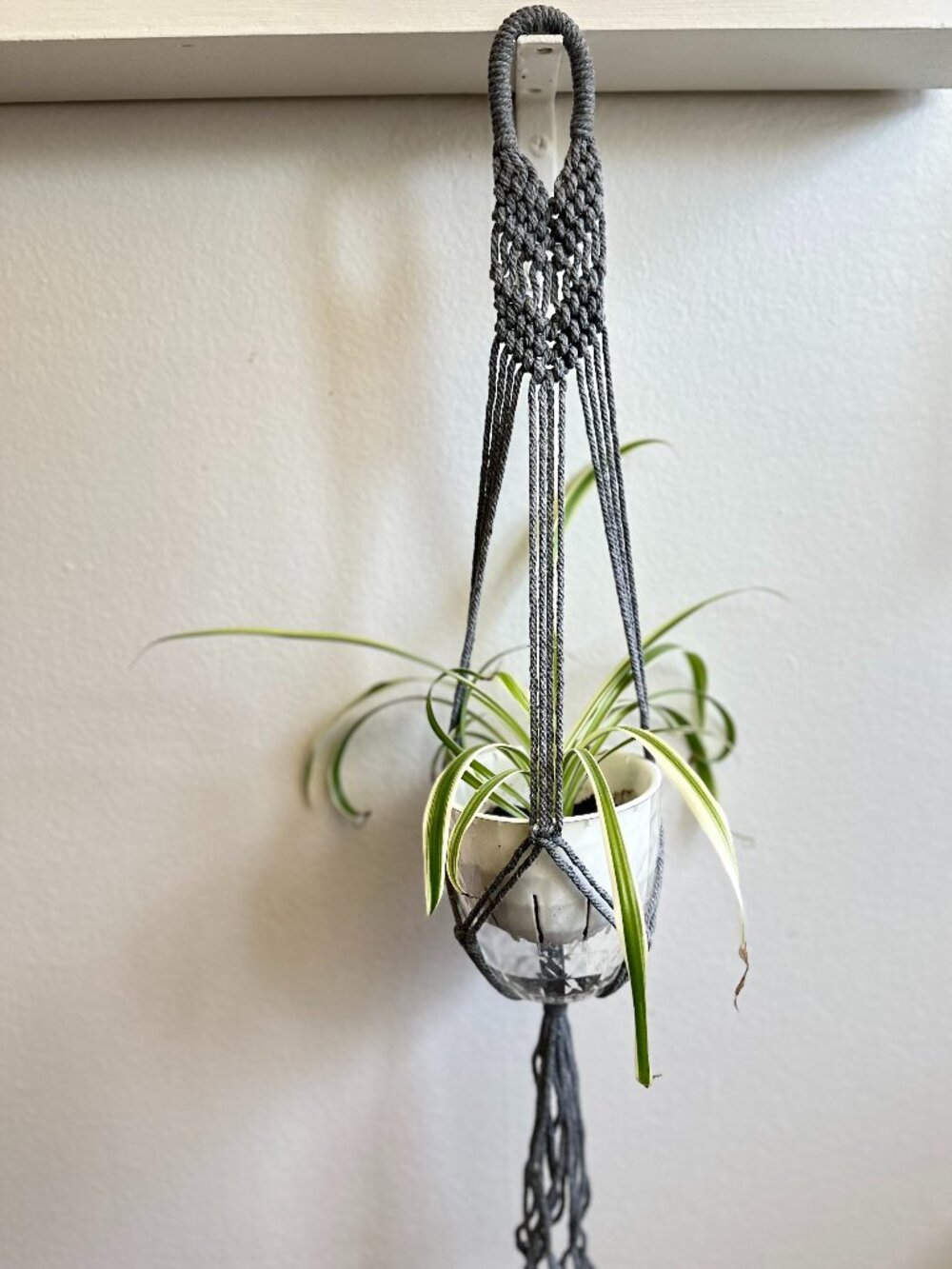 NEW Macrame Plant Hanger - Gray